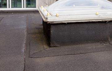disadvantages of Rowney Green flat roofs